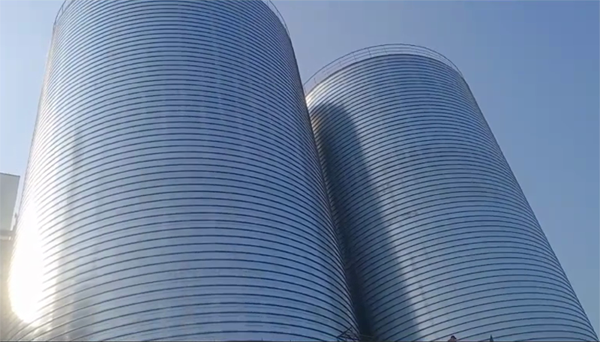 茂南2座混凝土高架卷板仓